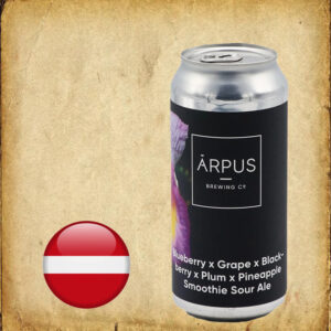 Ārpus Blueberray x Grape x Blackberry x Plum x Pineaple Smoothie Sour Ale